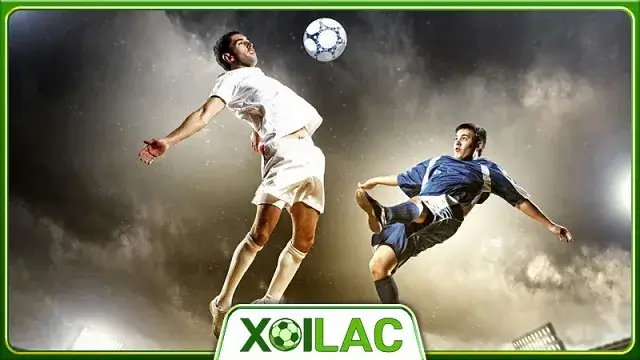 Xoilac TV - Trực tiếp bóng đá Champions League, Europa League siêu hấp dẫn