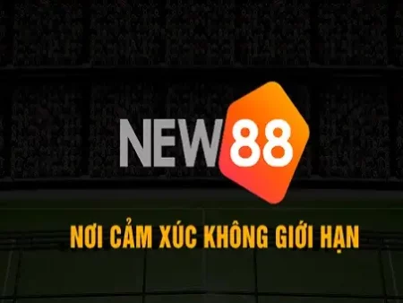 New88077.com – Nhà cái phát nhiều ưu đãi nhất Việt Nam